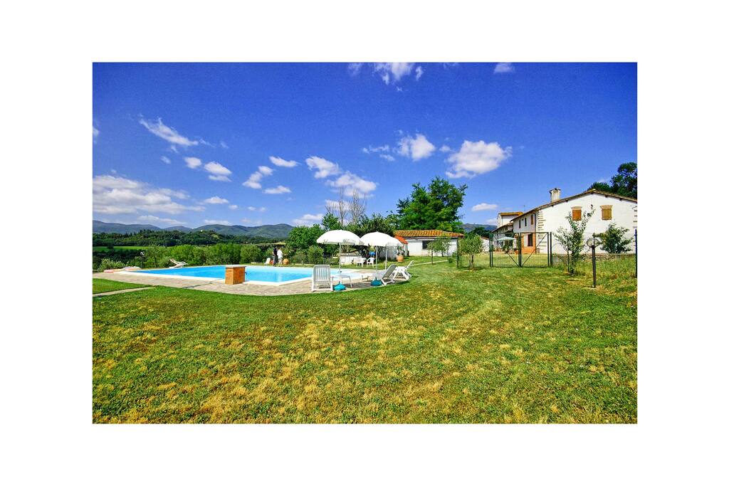 Garden, Outdoor, Pool