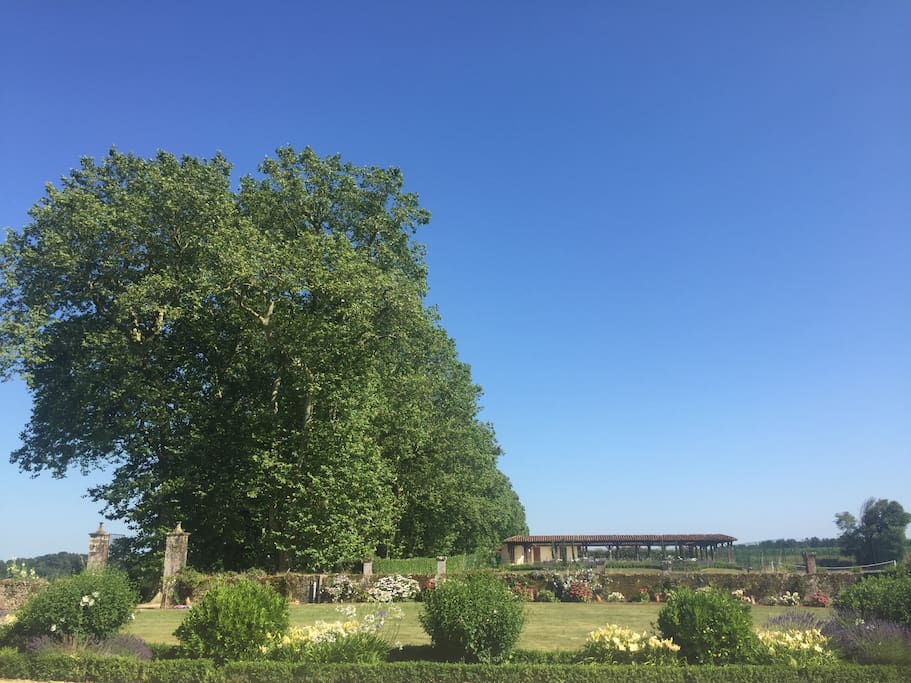 Autour de la maison