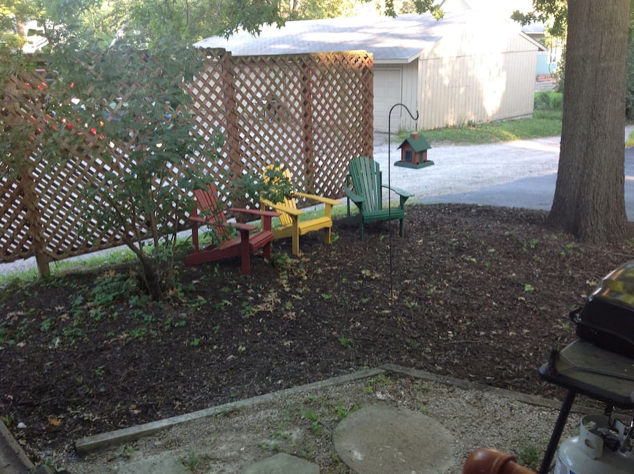 Back yard