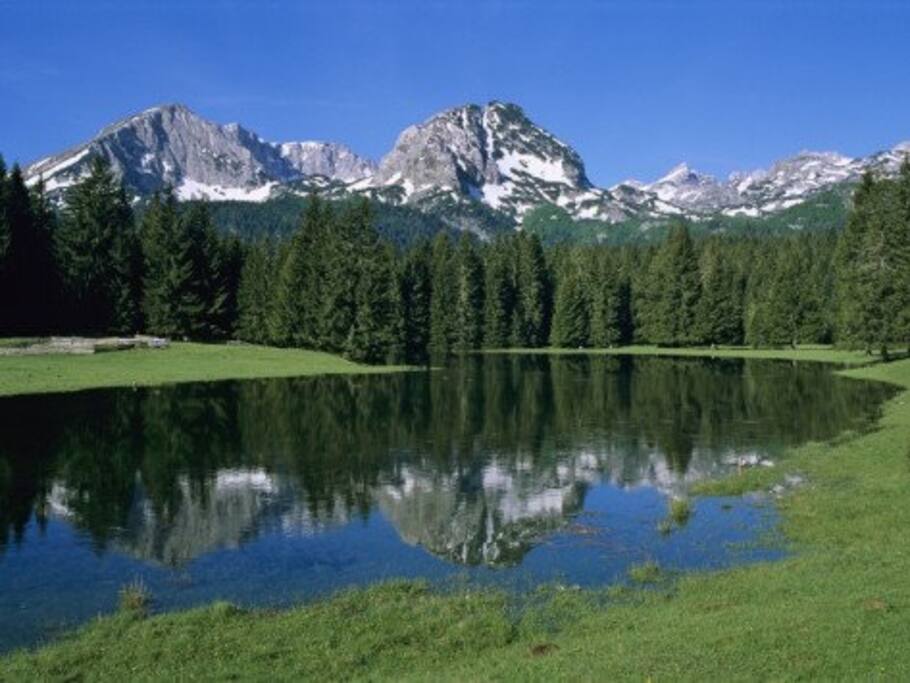 Gorske oci