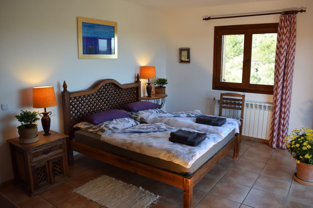 Sunny Suite & Balcony