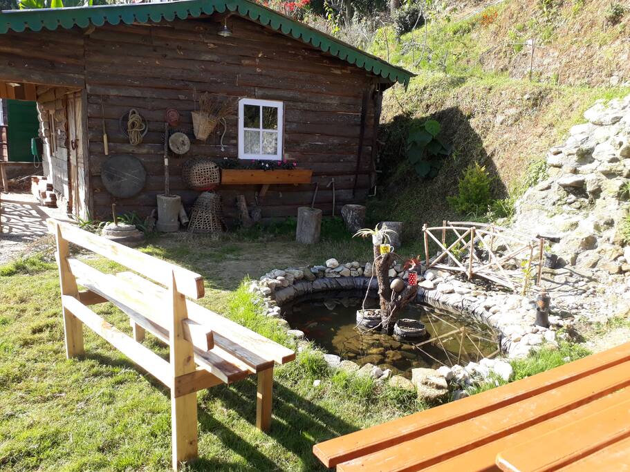 Small pond at front yard.