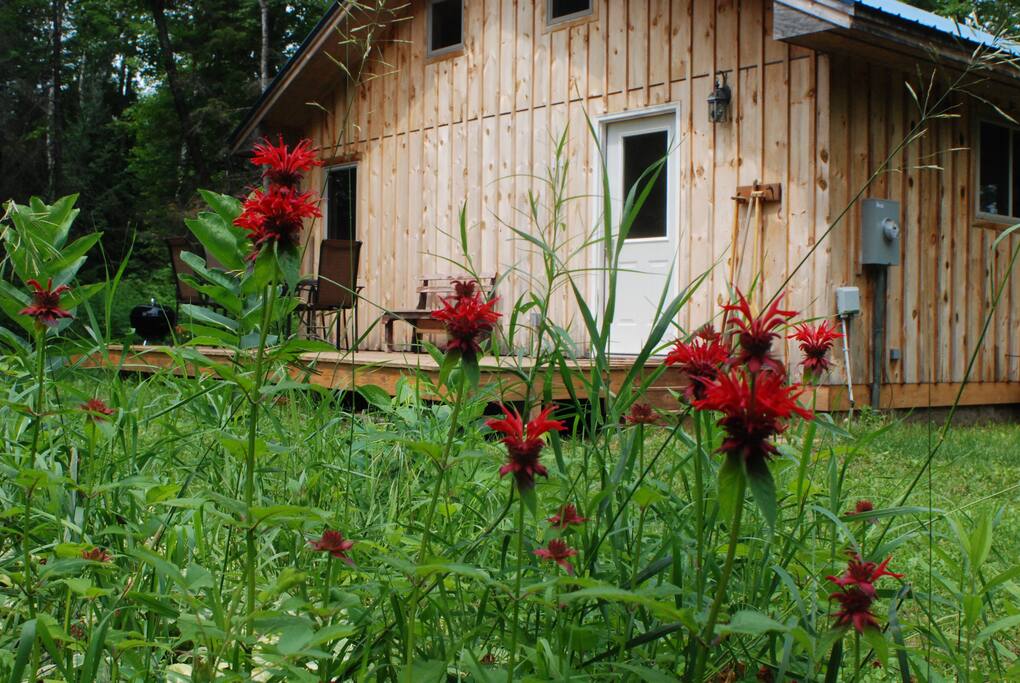 Rustic cabin without running water. There is a hand pump that works in summer (but is frozen in winter).