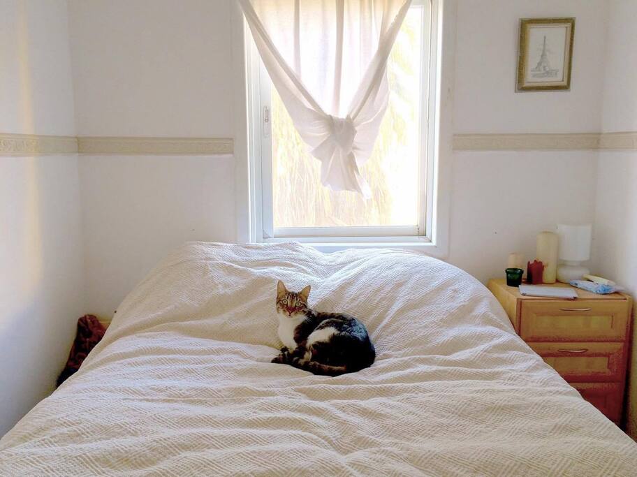 bedroom (can have a baby bed inside)