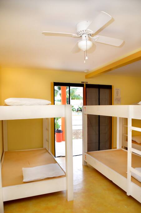 Dorm Bunk