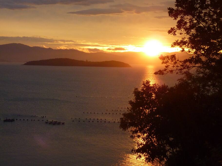 Sunset in front of the house- a different view everyday