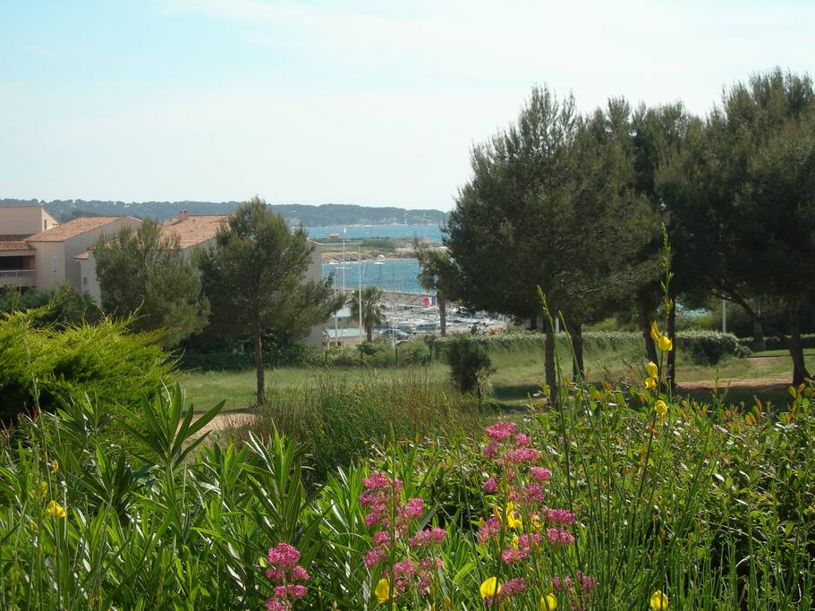 vue de la terrasse