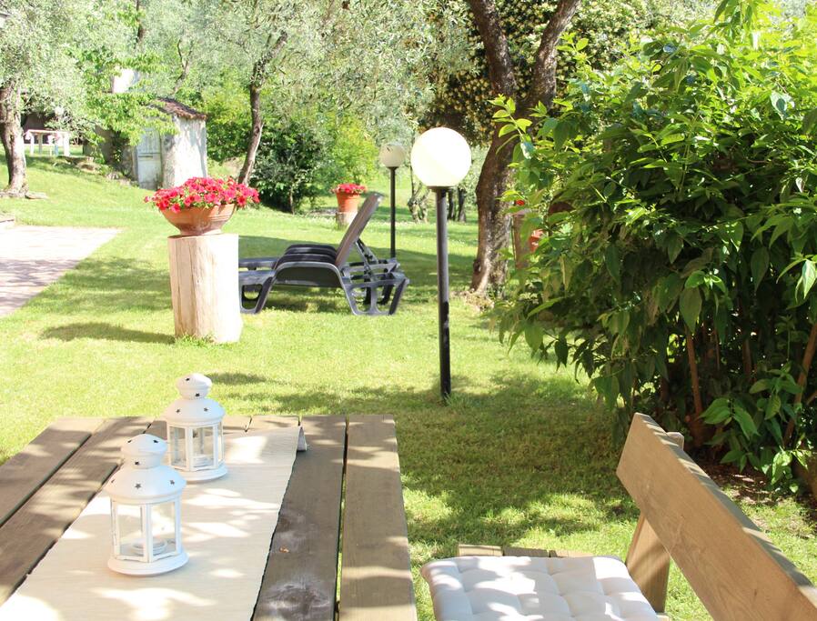 Garden / Giardino