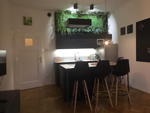 Design equipped apartment in the center of Brno