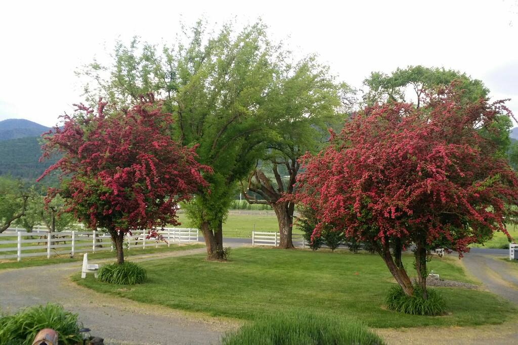 sitting on the front porch view.