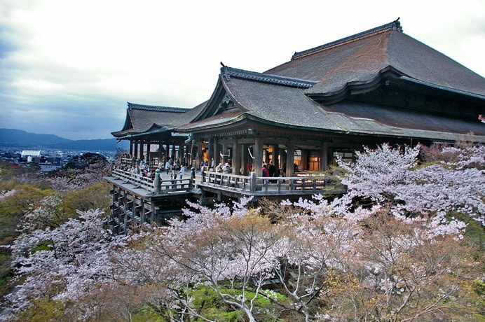 A traditional Japanese temple, characterized by intricate wooden architecture, is set against a backdrop of cherry blossom trees. The structure features expansive verandas where visitors can enjoy panoramic views of the surrounding landscape and vibrant pink blooms.