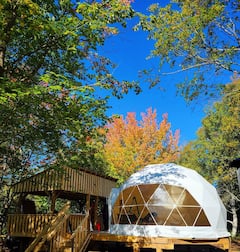 East+Coast+Hideaway+-+Glamping+Dome