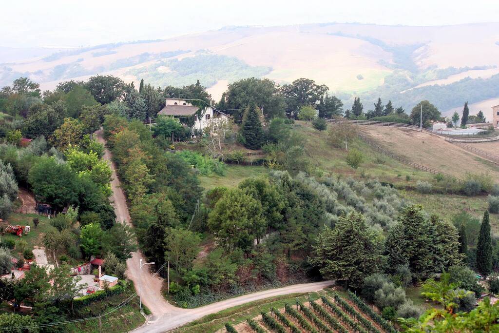 la posizione
