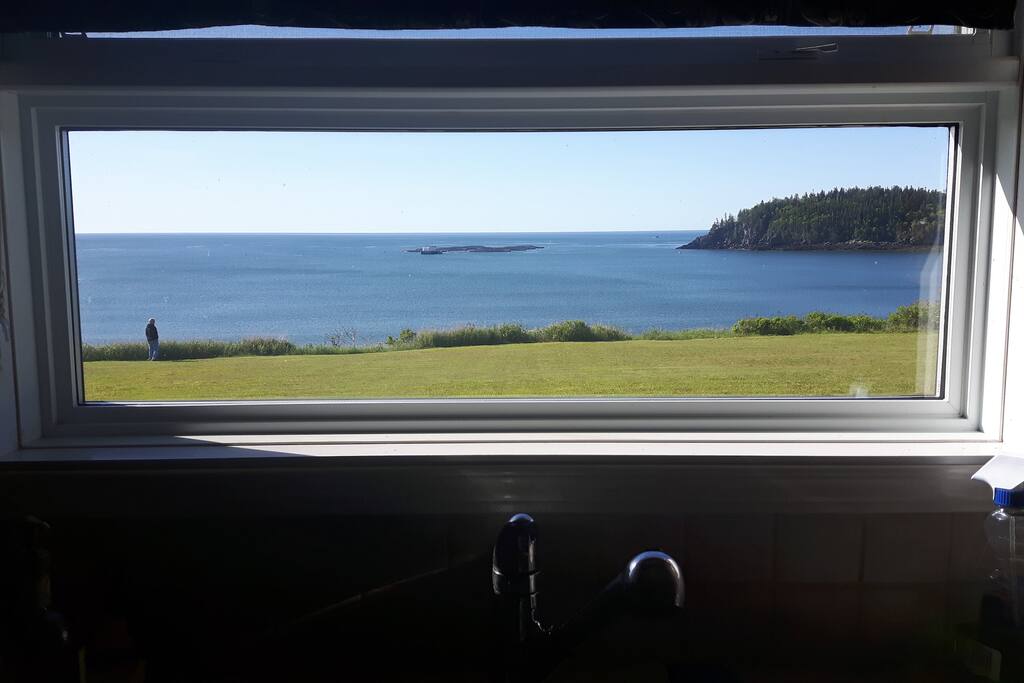 View from the kitchen sink.