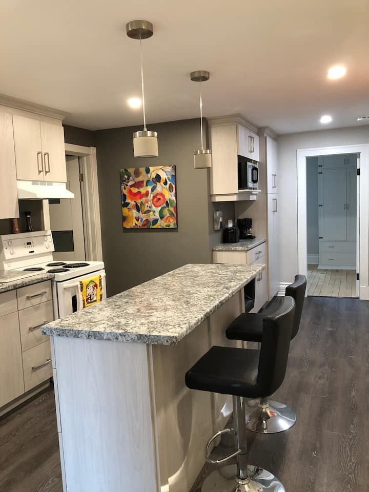 Spacious, Deluxe Apartment All To Yourself - Chatham-Kent
