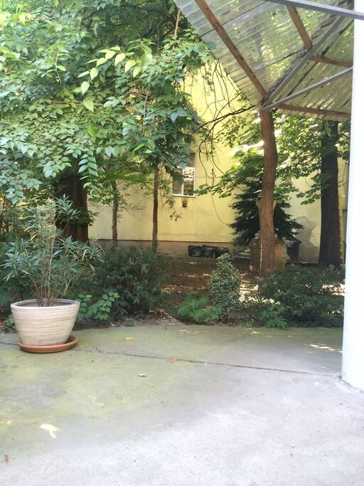 terrace and garden