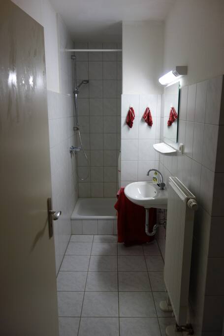 Privat Bathroom with Towels, Shampoo etc.