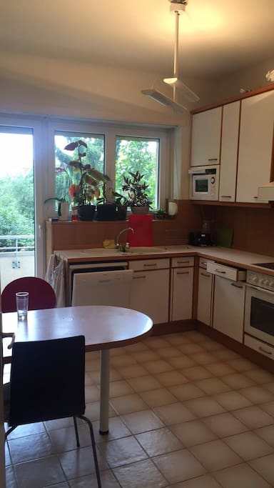 Spacious and well-equipped kitchen with balcony