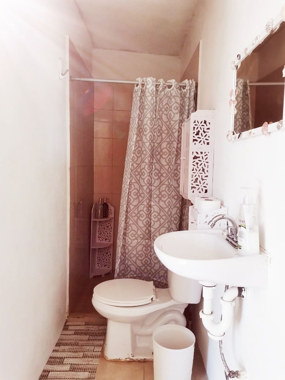 A clean and functional bathroom area features a toilet and a small sink. A decorative shower curtain provides privacy in the shower space, while a mirror adds dimensions. A patterned rug lies on the floor, contributing to the overall simplicity of the design.