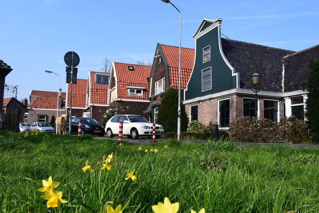 The street.