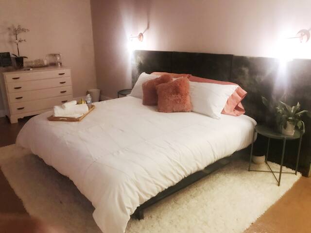 Cozy Comfy Room in the heart of Houston