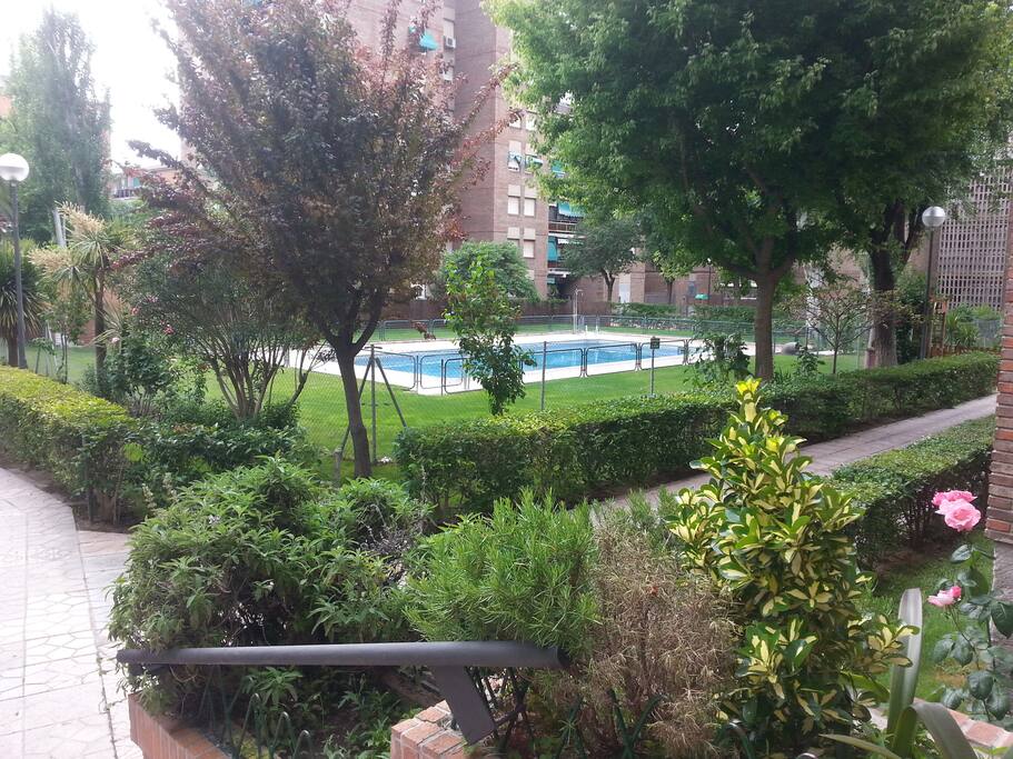 Desde la entrada del edificio.