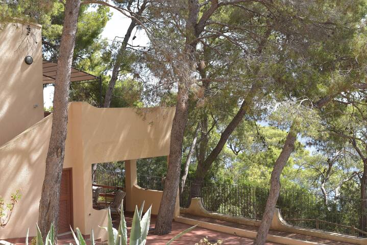 Porzione di villino con terrazza sul mare gallery image 3