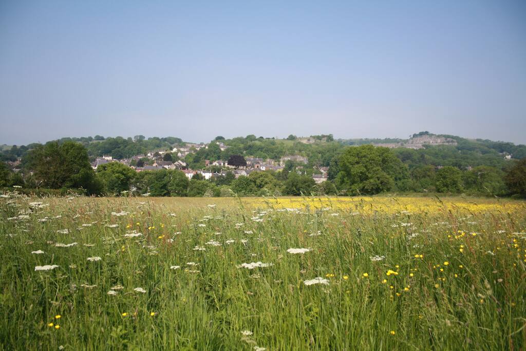 The view from our house in May