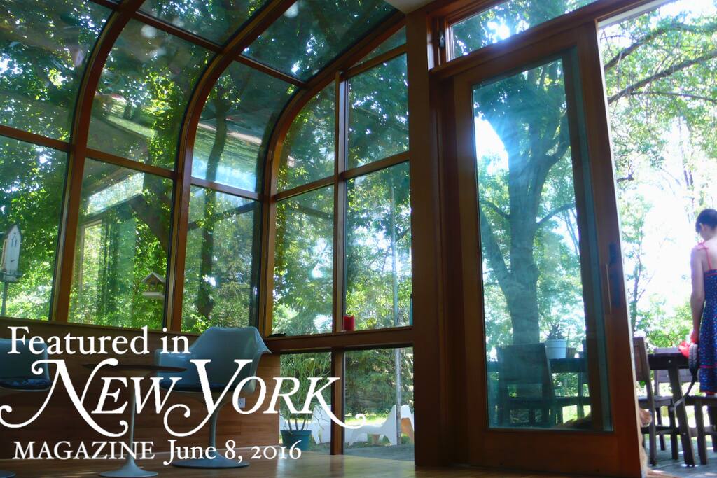 Featured in New York Magazine, June 8, 2016