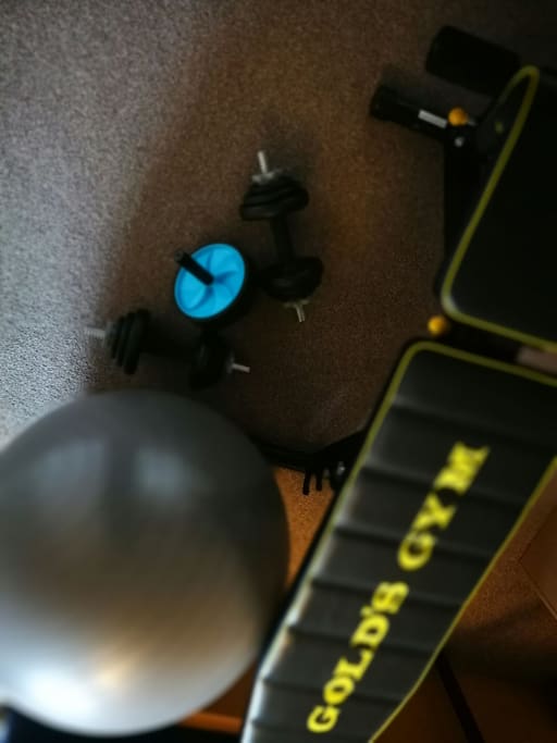 gym equipment- adjustable dumbells, ab roller, ball and bench....free to use if you feel like it.
