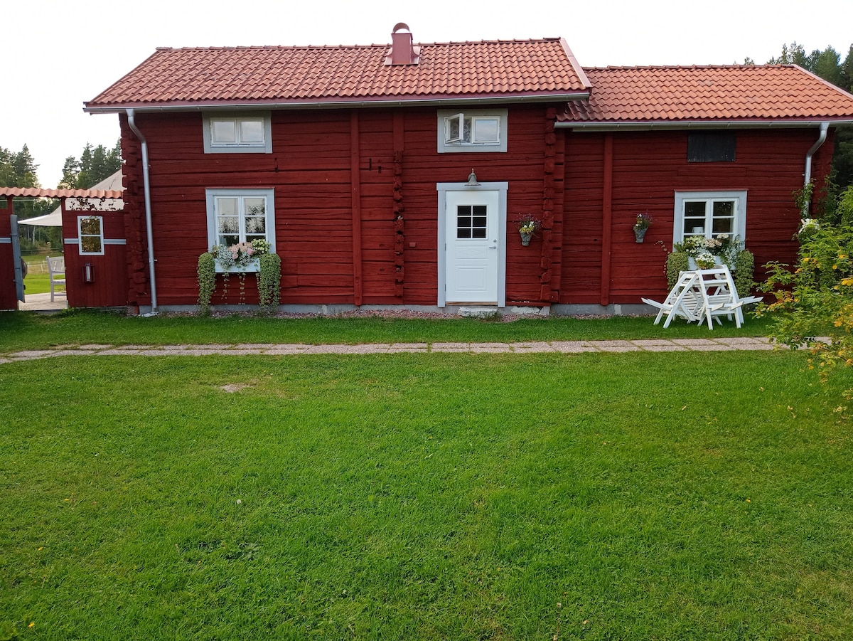The exterior of a red wooden cottage is featured, showcasing a symmetrical facade with white trim around the windows and door. Flower boxes adorn the windows, and two white chairs are placed on the lawn. The grassy area is well-maintained, enhancing the inviting appearance of the home.