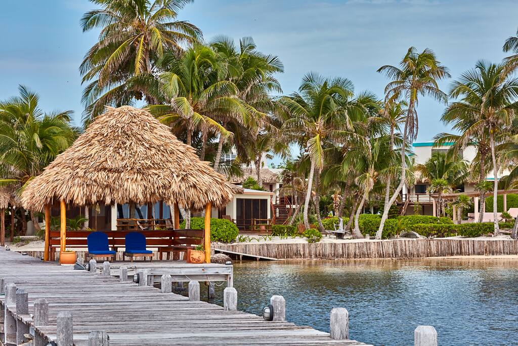Palm Tree,Tree,Hotel,Resort,Building