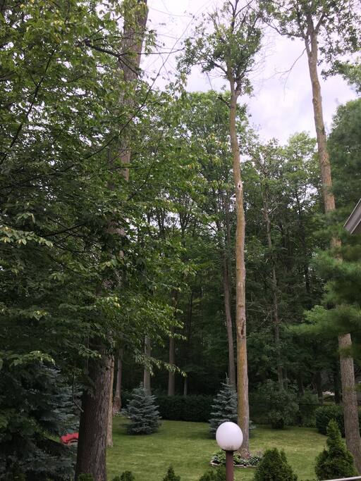 View from private deck.