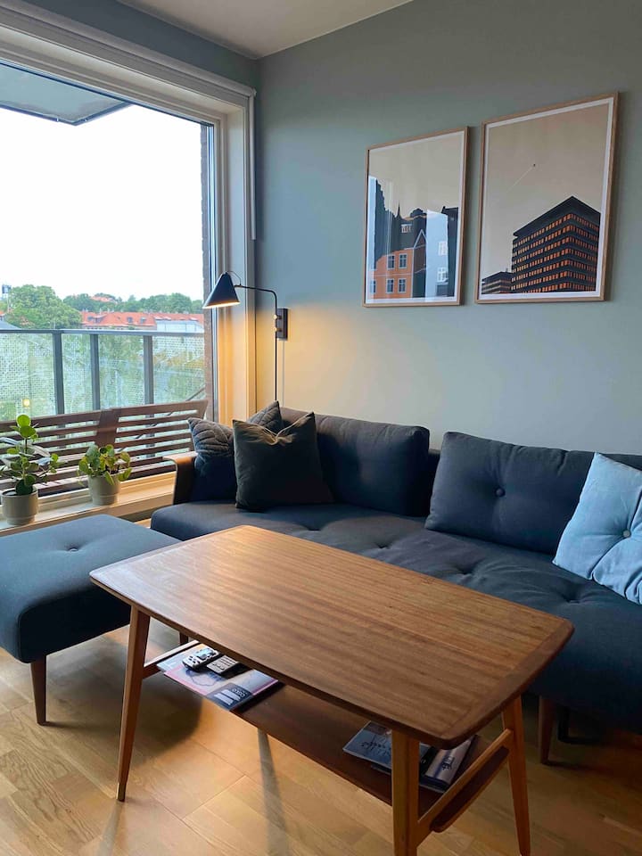 Lovely 1-bedroom Condo With Free Parking - Oslo