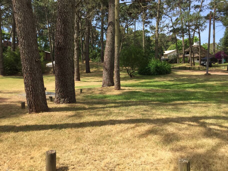 Vista del extenso parque