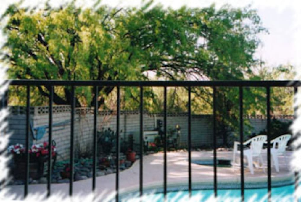 Pool hot tub area (Safety fence between walled patio & pool/hot tub area.)