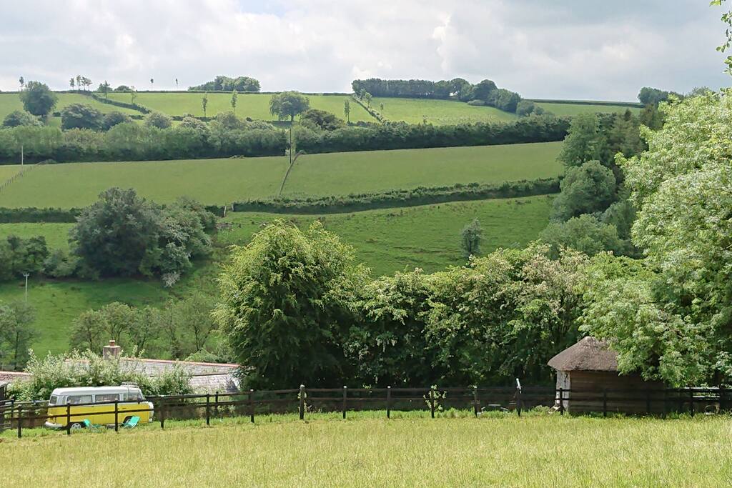 Our glamping field