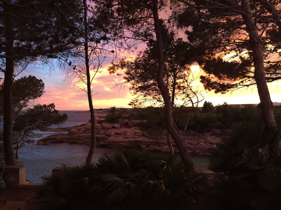 Vista desde la terraza