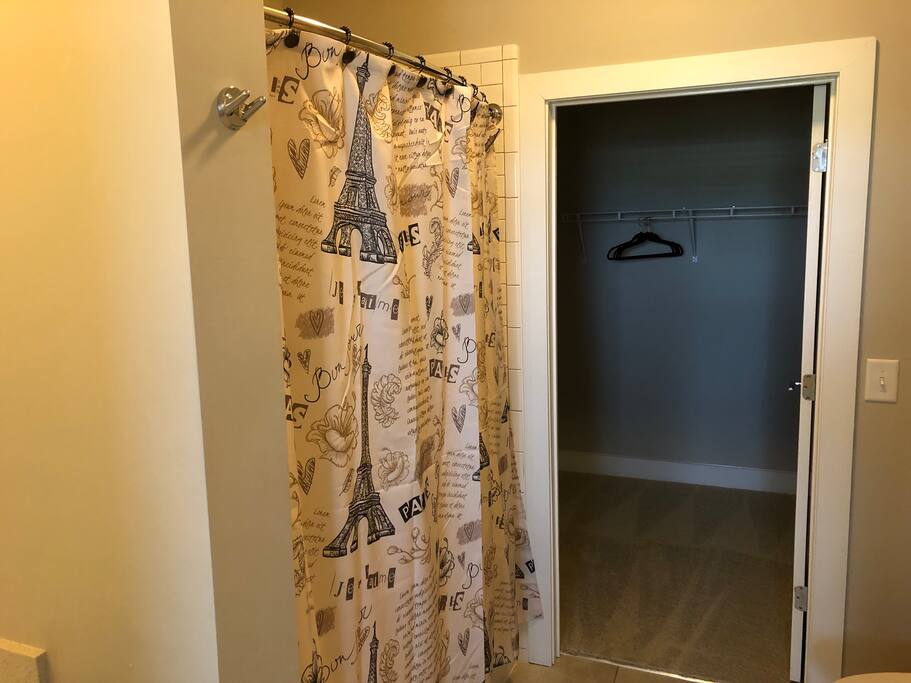 Master bathroom with walk-in closet