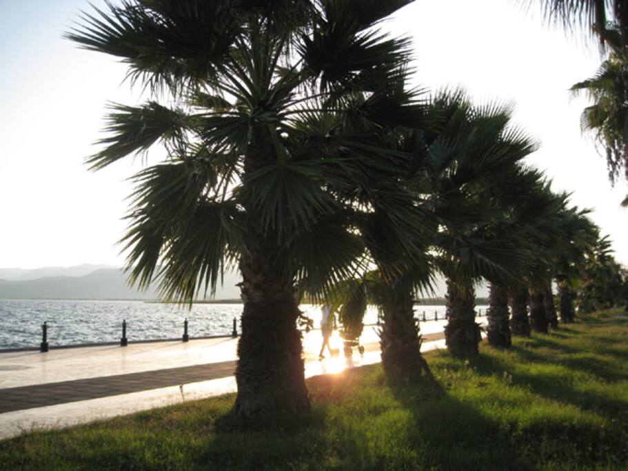 Köycegiz See