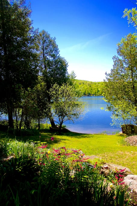 A private retreat on a pristine spring fed lake, nestled in the woods!