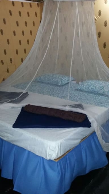 Double Bed with mosquito net