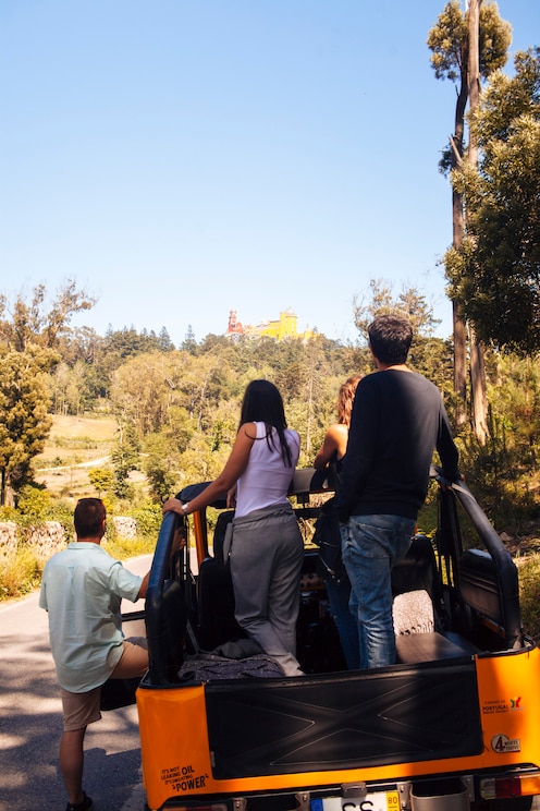 Show full-screen, host-provided image