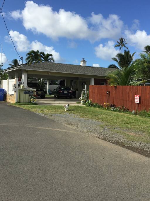 Drive down lane to house #D, last house on right side, drive onto property, park next to unit on right side