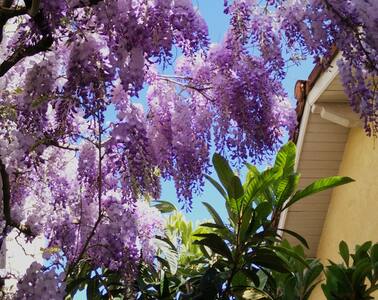 Charmant studio avec vélos