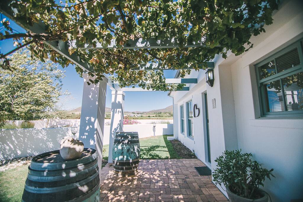 Front garden area where table grapes are growing and views of the neighbor vineyards and mountains.