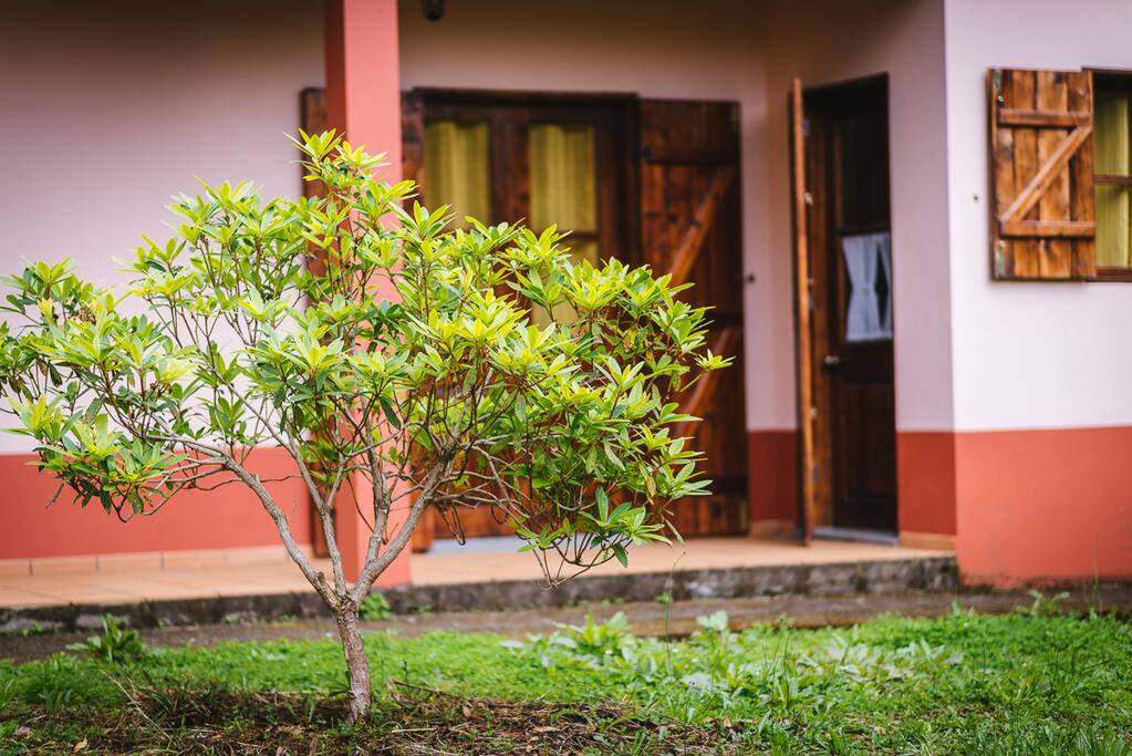 Our Wonderful House