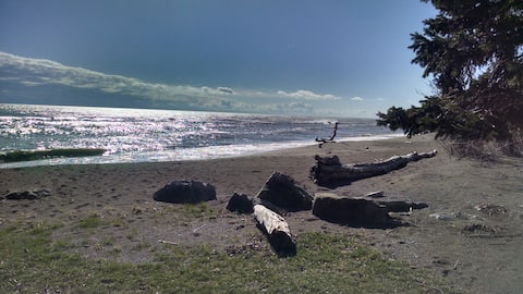 Bird house, Private Beach