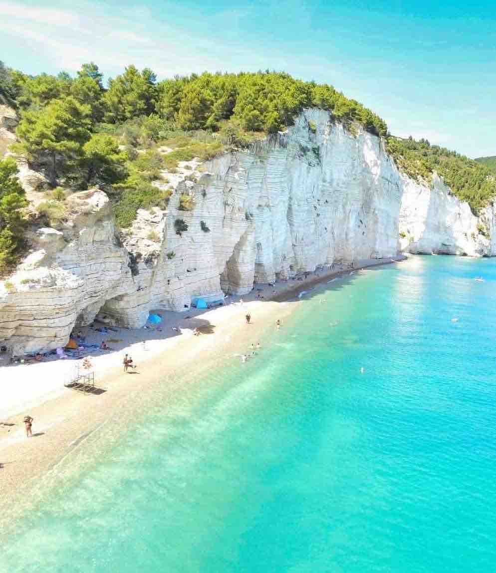 A scenic beach is bordered by towering white cliffs and lush greenery. Clear turquoise waters gently lap at the sandy shore, where beachgoers are seen enjoying the sun. The distant horizon showcases a bright blue sky, contributing to a serene coastal atmosphere.