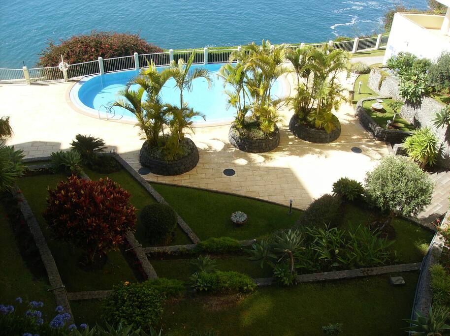 Overlooking the Pool
